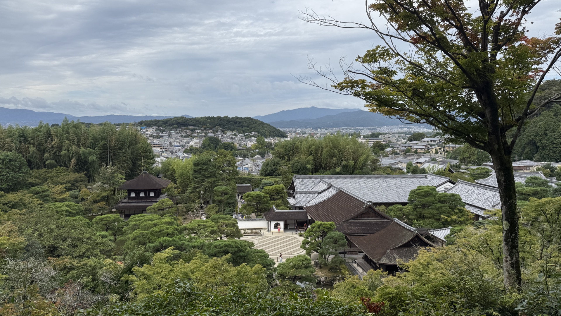 銀閣寺觀音殿深色木造二層建築，白牆黑瓦，周圍是水池與松樹