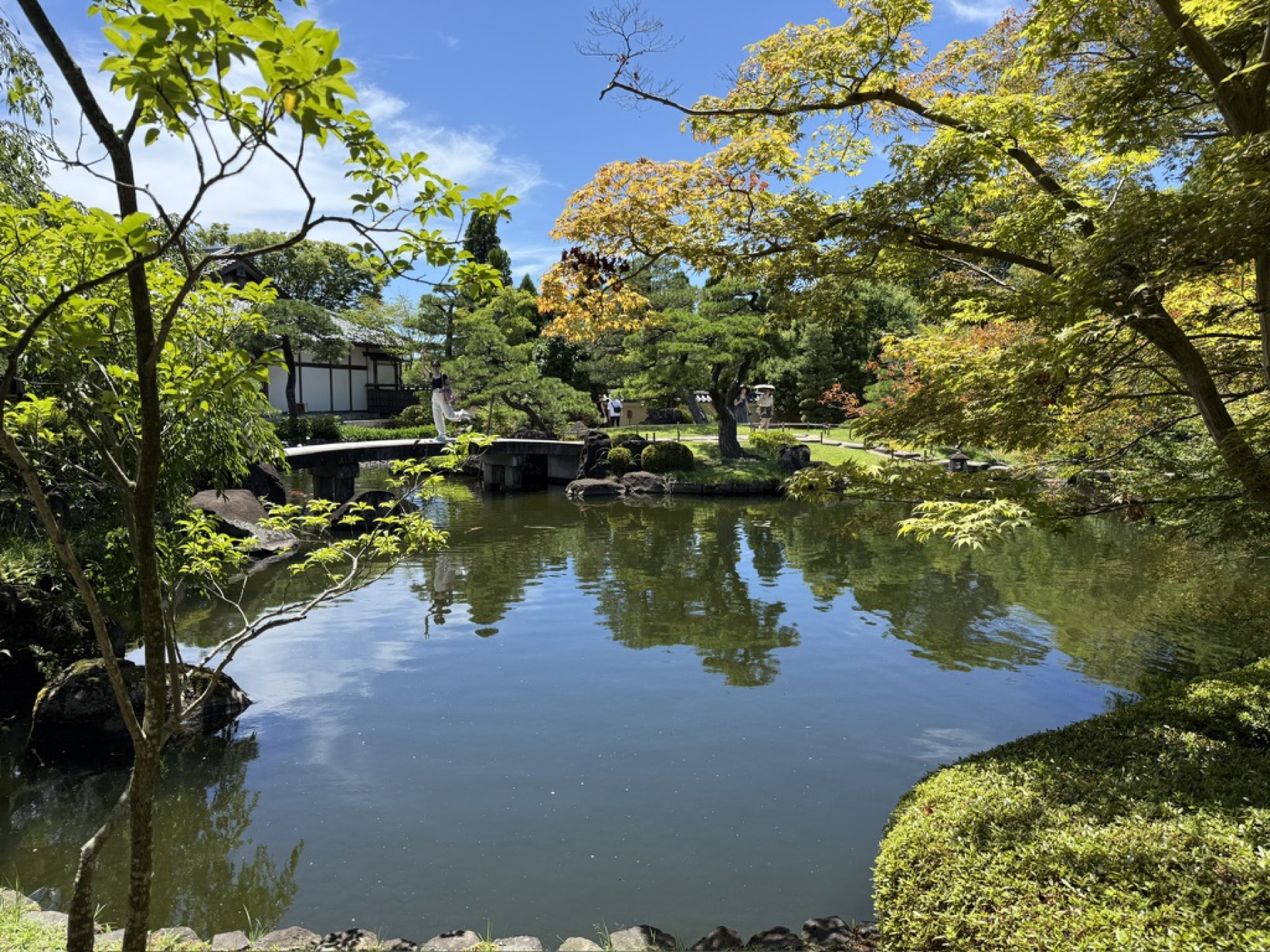 從外苑公園遠望姬路城天守閣,白色城樓在綠樹與藍天之間清晰可見