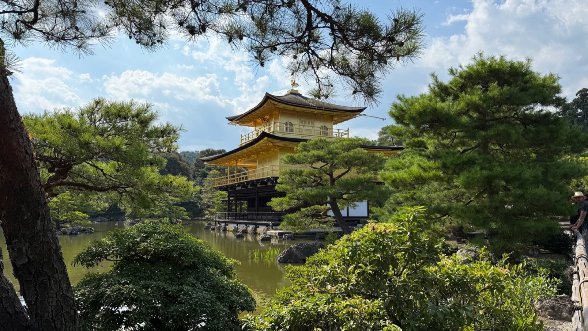夏日晴天，金閣寺被松樹枝椏框住，鏡湖池倒映著金色樓閣