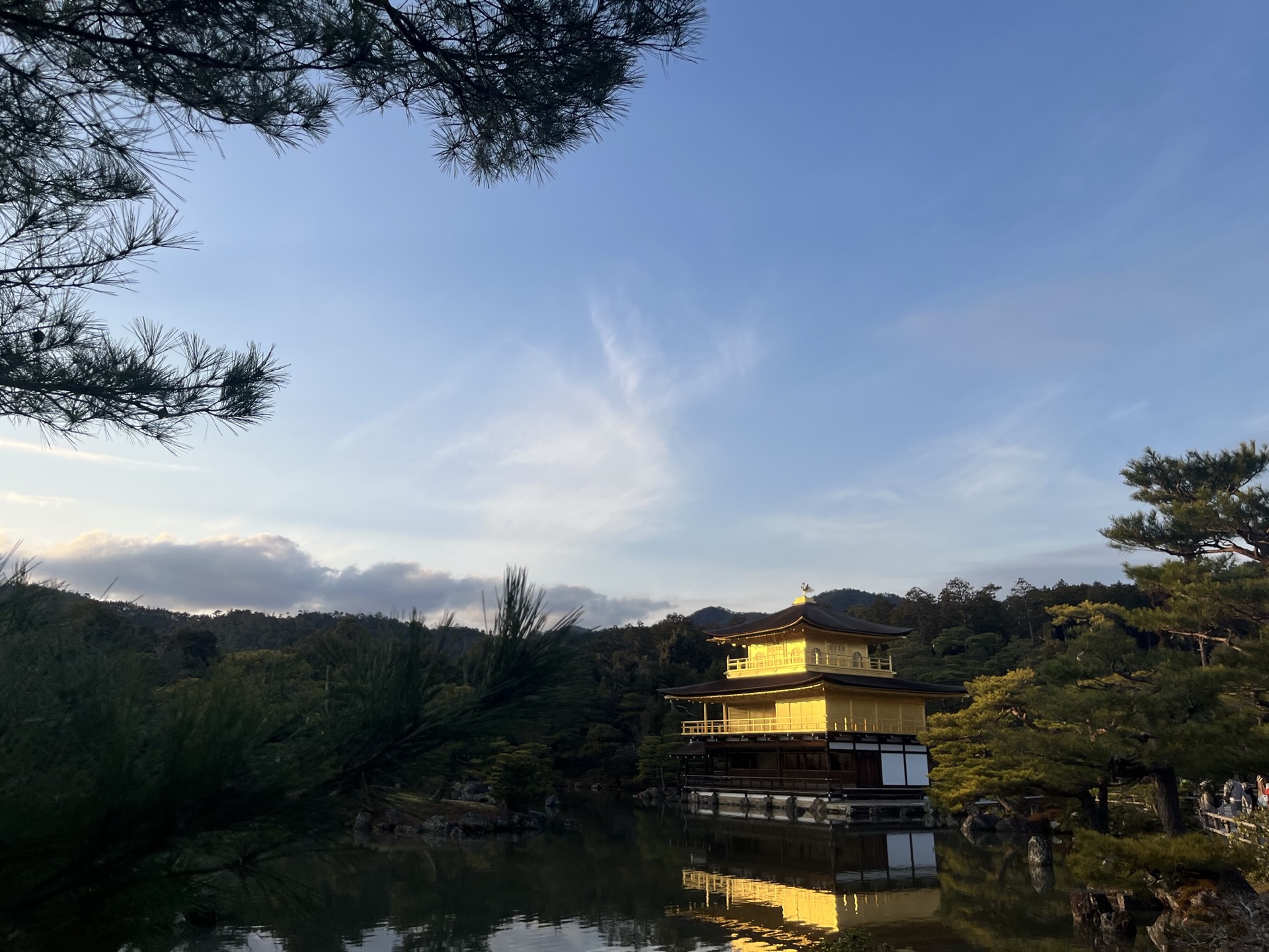 夏日晴天，金閣寺被松樹枝椏框住，鏡湖池倒映著金色樓閣