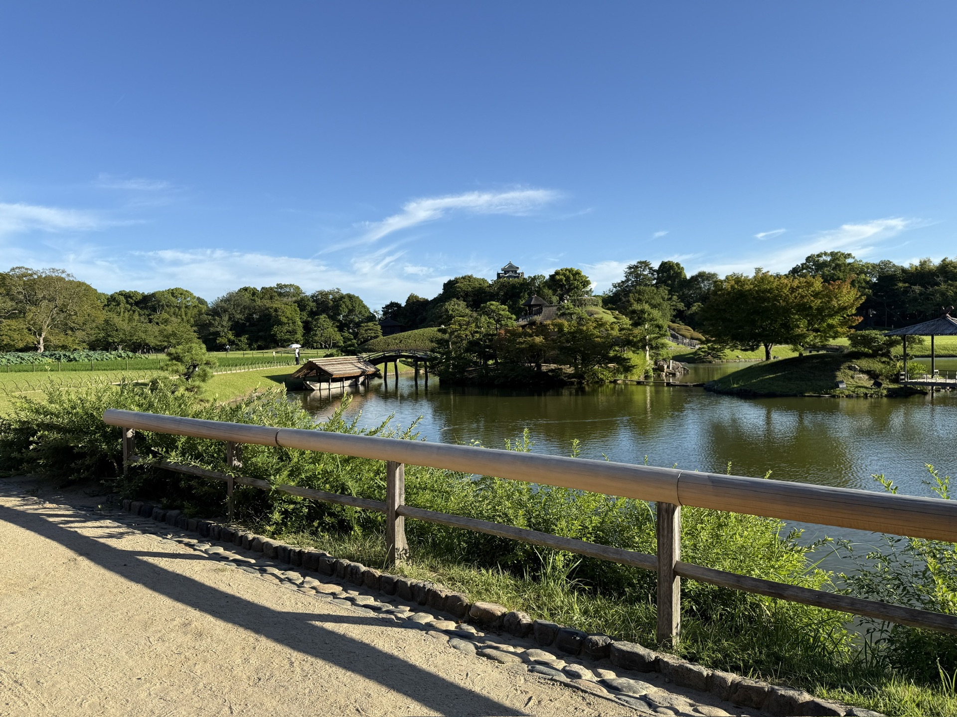 從後樂園水池遠眺，草丘與松樹後方，黑色的岡山城天守閣在藍天下清晰可見