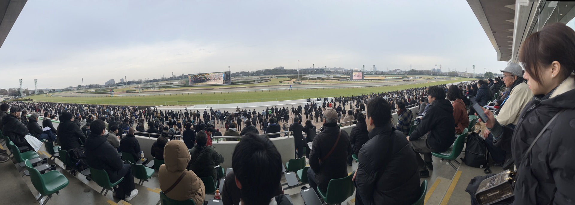 中山競馬場從看台往下望的全景，觀眾席、跑道與大型記分板一覽無遺