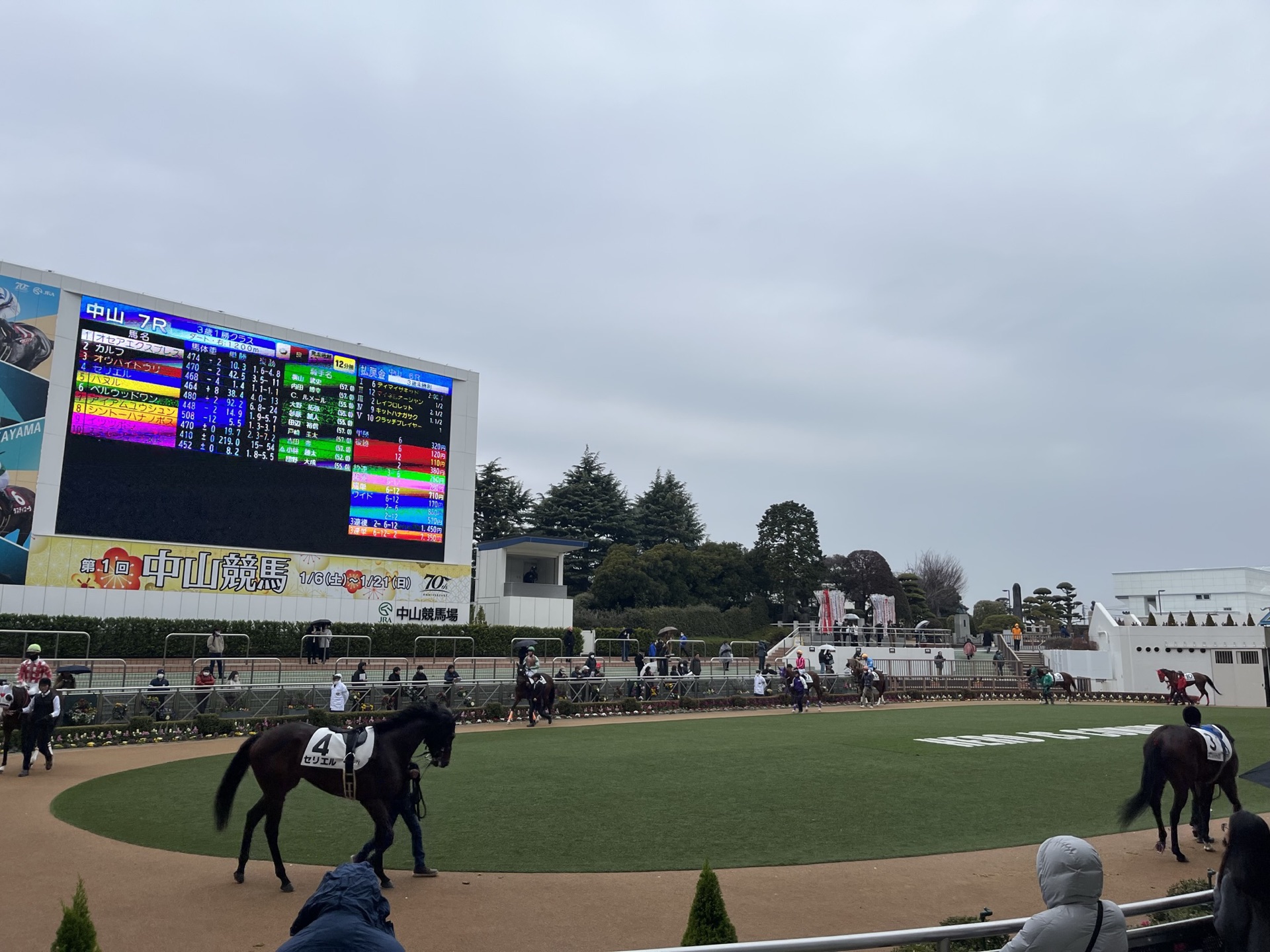 中山競馬場從看台往下望的全景，觀眾席、跑道與大型記分板一覽無遺