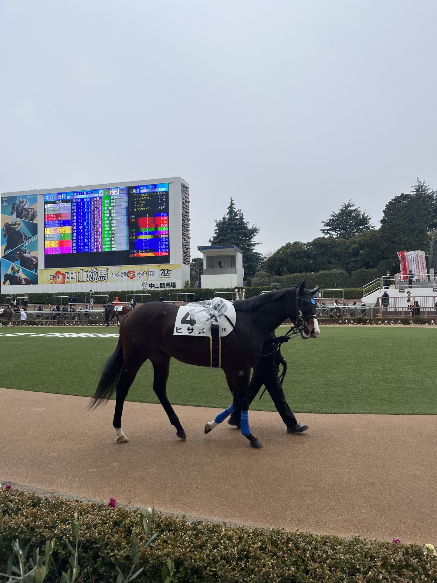 中山競馬場從看台往下望的全景，觀眾席、跑道與大型記分板一覽無遺