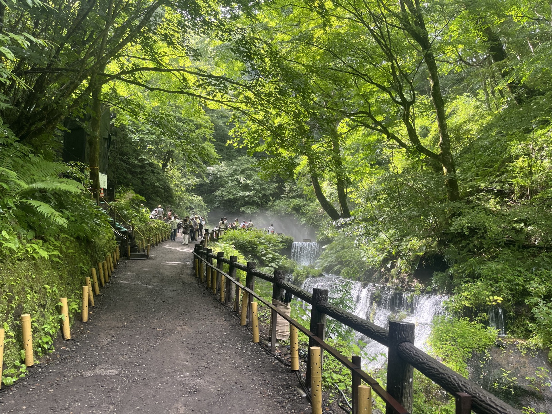 長野縣輕井澤白絲瀑布，半圓弧形岩壁湧出數十條細流形成水幕，濃霧瀰漫整個瀑布空間