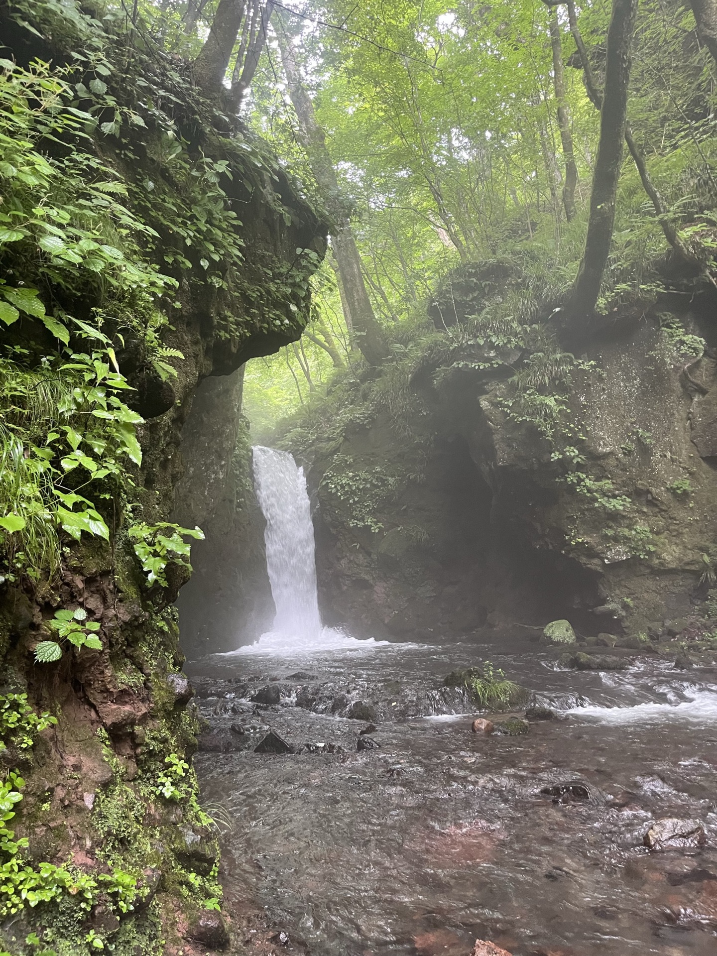 長野縣輕井澤白絲瀑布，半圓弧形岩壁湧出數十條細流形成水幕，濃霧瀰漫整個瀑布空間