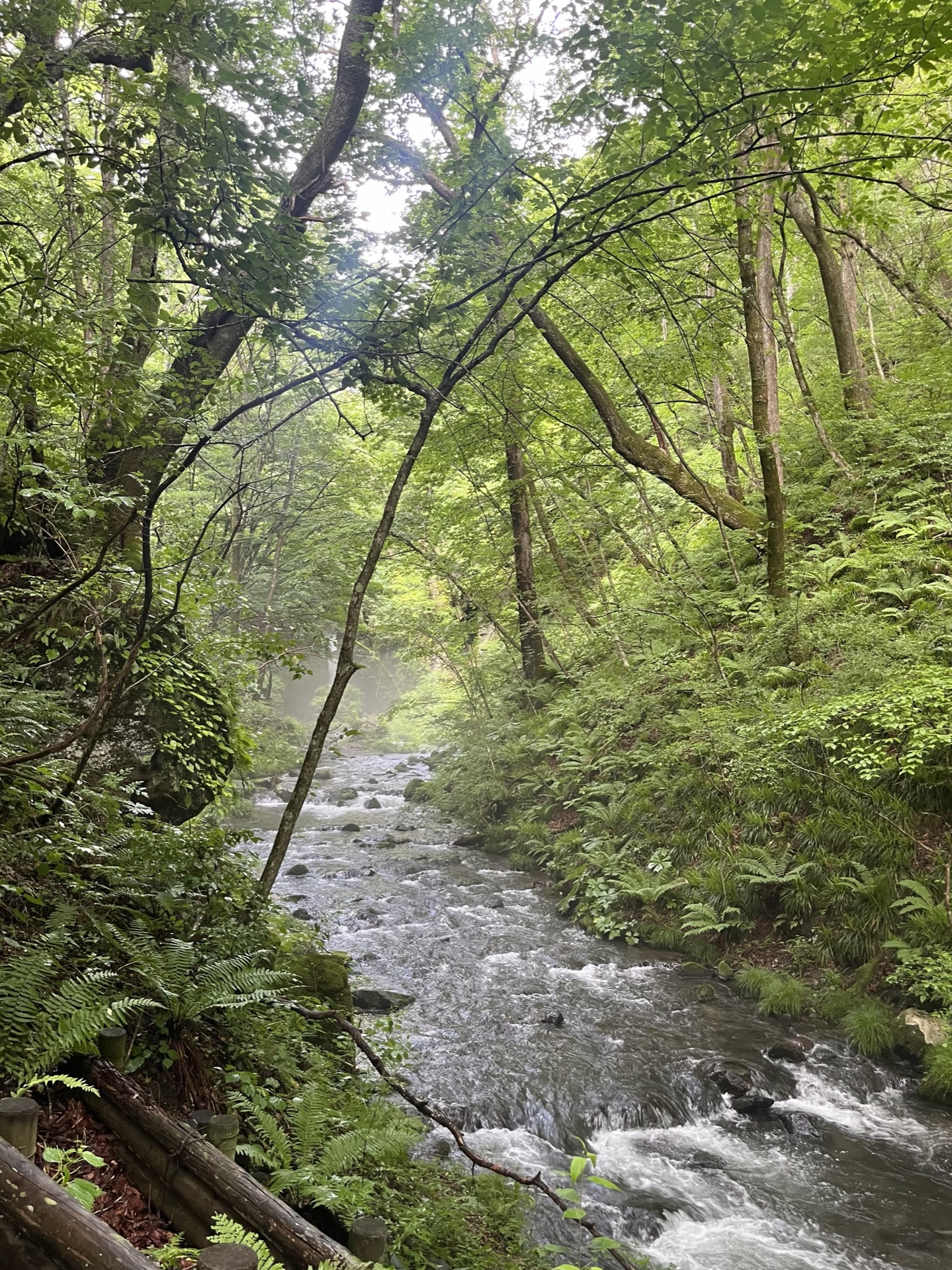 長野縣輕井澤白絲瀑布，半圓弧形岩壁湧出數十條細流形成水幕，濃霧瀰漫整個瀑布空間