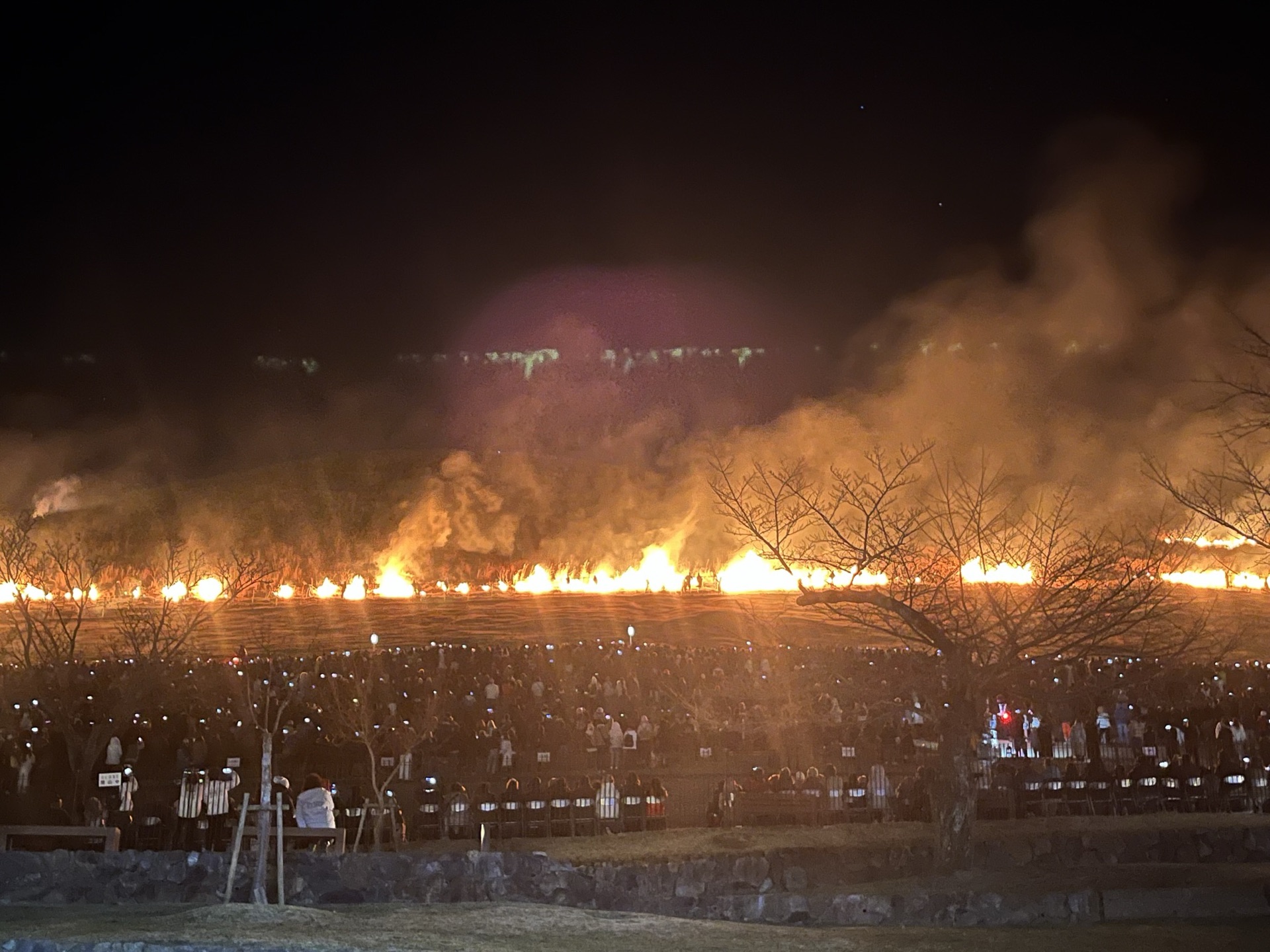 若草山燒山祭，整片山坡火線延伸，山腳觀眾手機燈點點