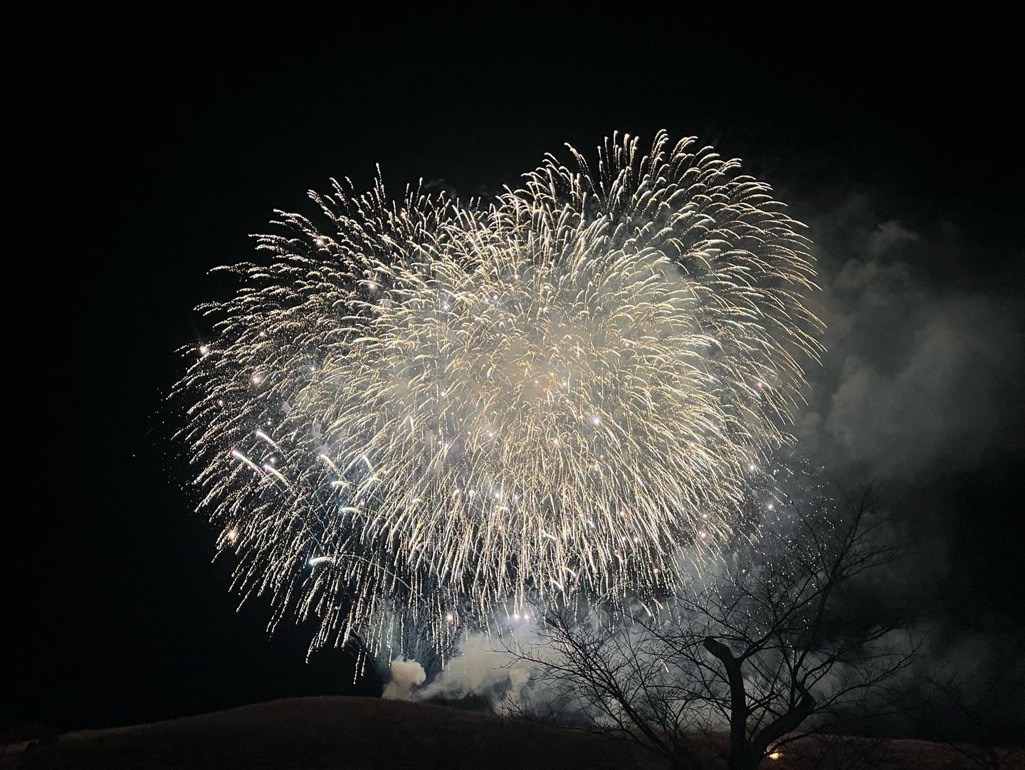 若草山燒山祭，整片山坡火線延伸，山腳觀眾手機燈點點