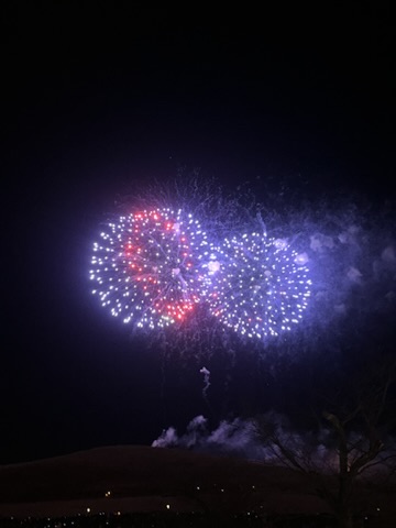 若草山燒山祭，整片山坡火線延伸，山腳觀眾手機燈點點