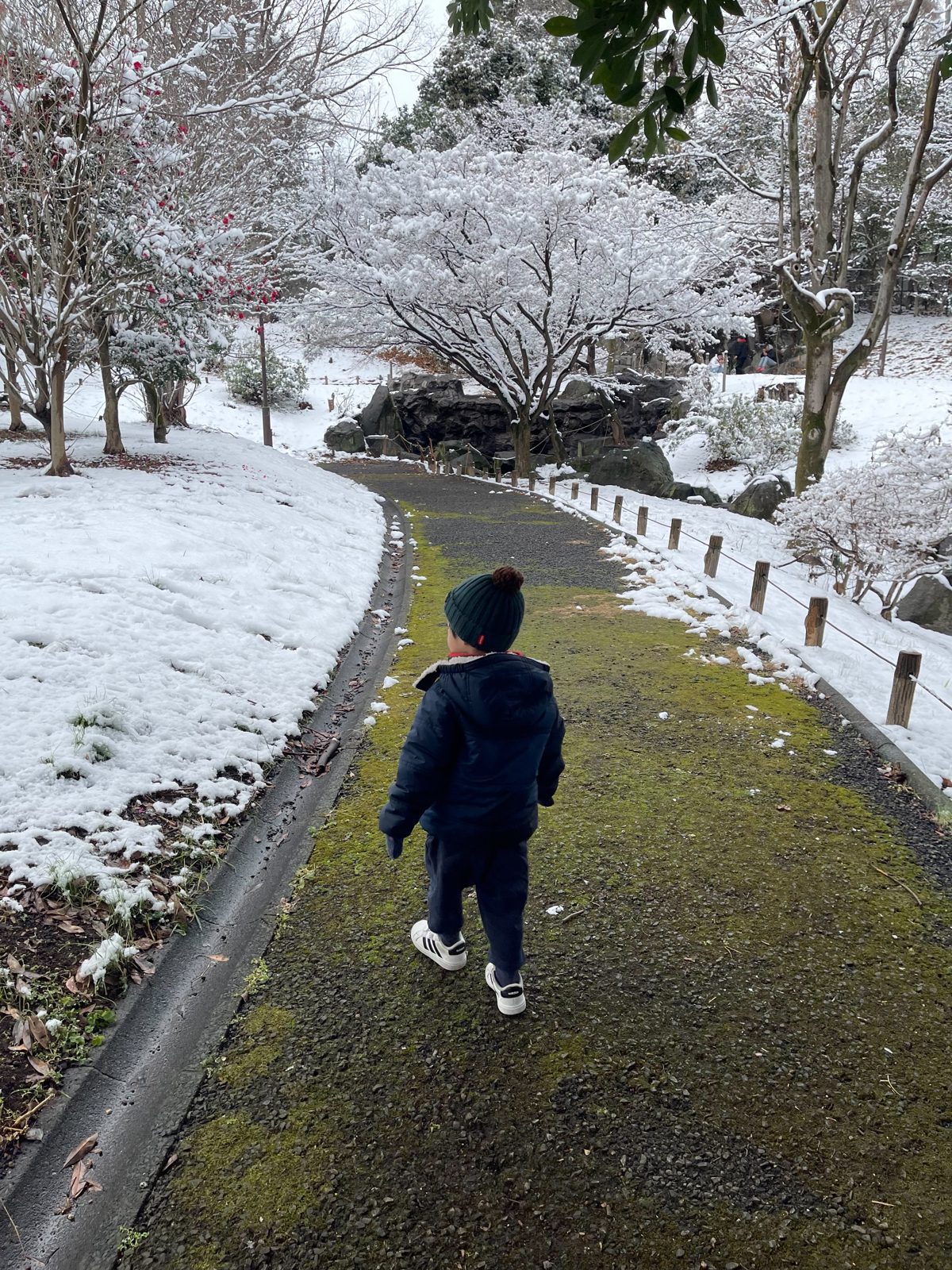 His child walking through a Japanese garden after snowfall